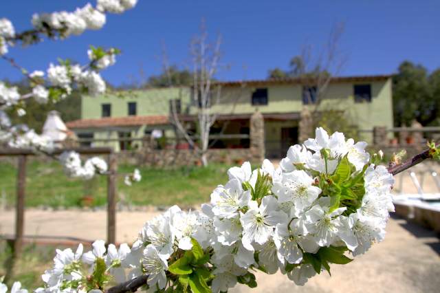 Finca La Valienta , Casa Verde