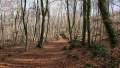 La Fageda d'en Jorda